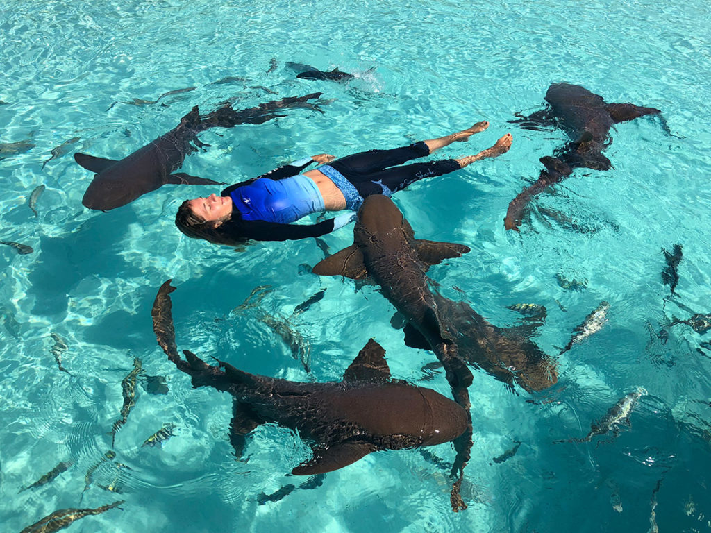 TIBURONES