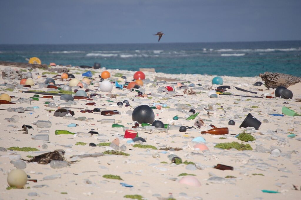 plastic ocean plastic ocean