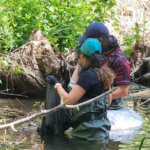 Madblue Limpieza de ríos